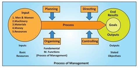 5 Elements Of Management Process FounderJar