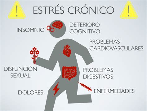 Las Estresantes Consecuencias Del Estr S Cr Nico Modoser