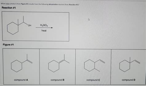 Solved What Major Product From Figure Results From The Chegg