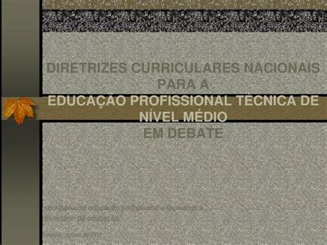 Ppt Diretrizes Curriculares Nacionais Para A Educa O Profissional