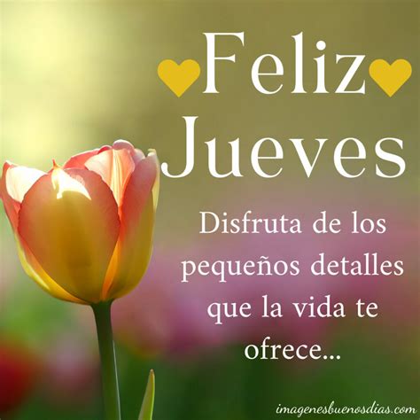 90 Imágenes Feliz Jueves Imágenes Buenos Días