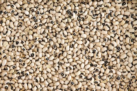 13 Common Types Of Beans—and How To Use Them Types Of Beans Bean Varieties Beans