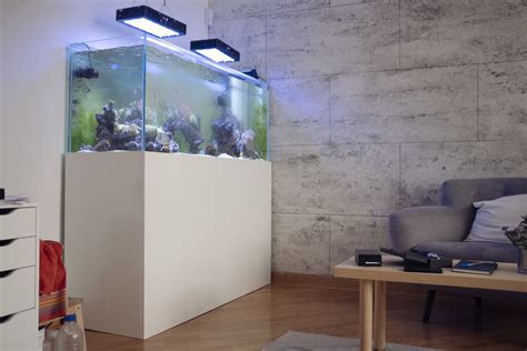 Aquarium Heater Placement