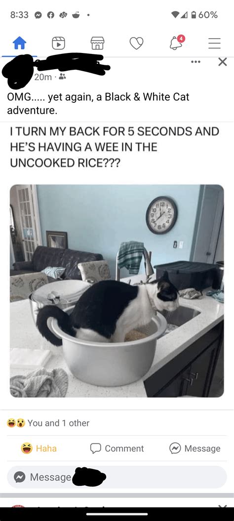 Why do my one friend's posts show up only allowing me to "Message So ...