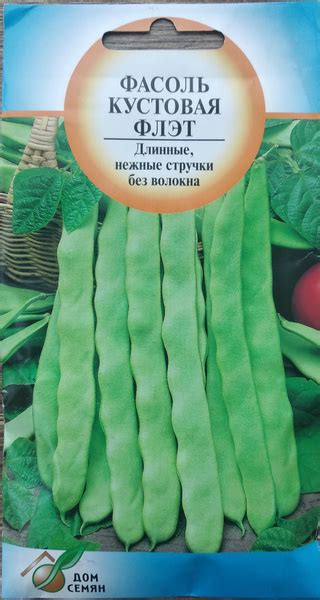 Разнообразные овощи, Бобы Дом семян Фасоль кустовая плоская Флэт ...