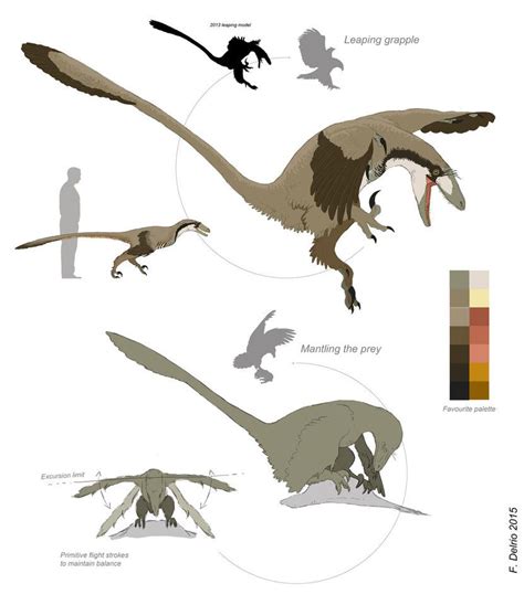 Paravians studies - Raptor Prey Restraint Model | Prehistoric art ...