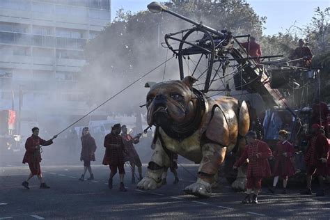 En Images Les Chiens Xolo Et Bull Machin De Royal De Luxe Merveillent