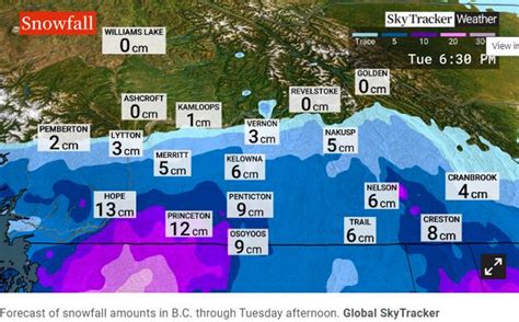 再發降雪警告！寒流將給bc省帶來 40c低溫！bc 每日頭條