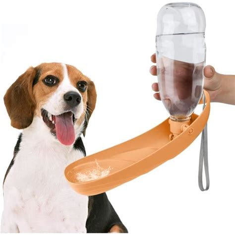 Bouteille D Eau Pour Chien Ml Distributeur Eau Chien Portable Chien