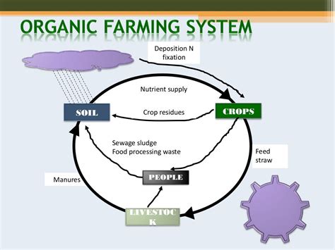 Organic farming