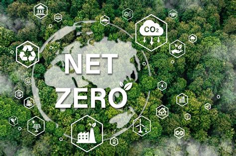 Us Brand Levi Strauss Launches Roadmap To Achieve Net Zero By 2050