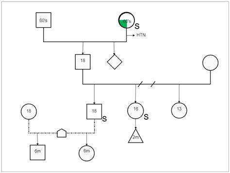 Genogram Symbol illustrating a person's family members | EdrawMax ...