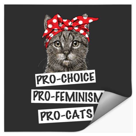 Cute Cat Pro Choice Pro Feminism Pro Cats Sold By Gavin Wright Sku