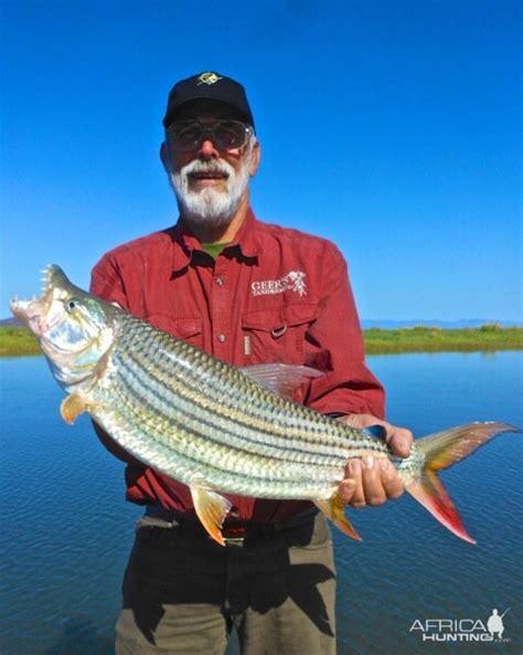 Tiger Fishing | AfricaHunting.com