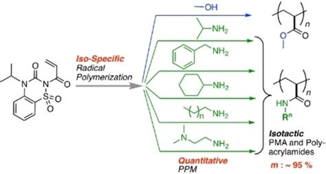 stereospecific radical polymerization   sidechain transformable