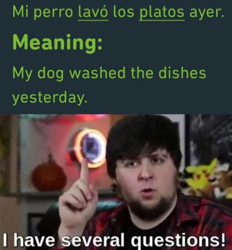 What The Dog Doin Rduolingomemes