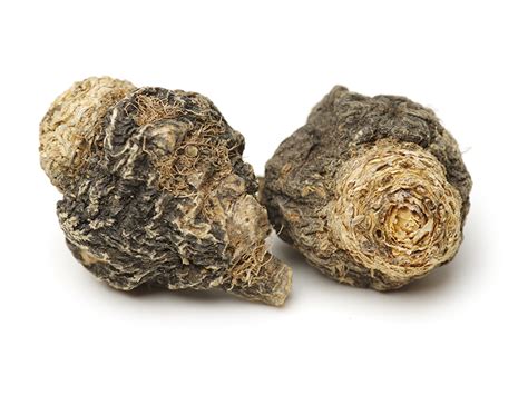 Maca - Health Protection