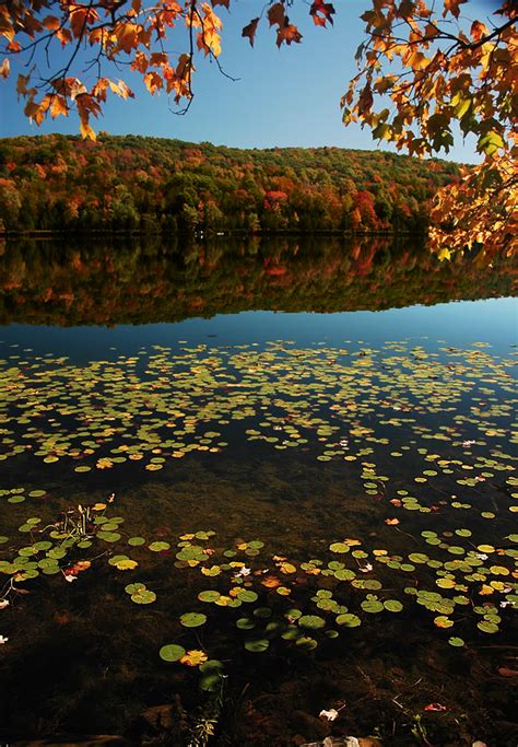 Lake Mohawk Kittatinny Valley State Park New Jersey Photo On Sunsurfer