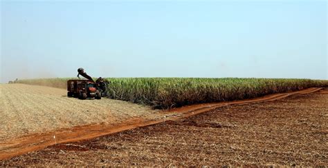 Safra De Cana De A Car Ter Volume Recorde Em Minas Gerais Cana Online