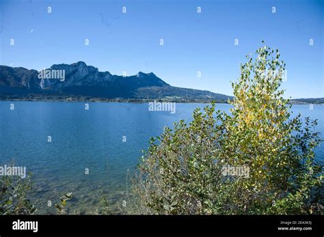 On the shore of lake Mondsee Stock Photo - Alamy