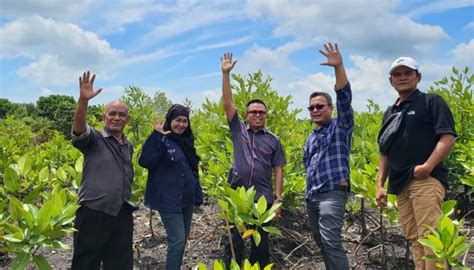 Sambut HPN 2024 PWI Kepri Siapkan Penanaman 50 Ribu Bibit Mangrove