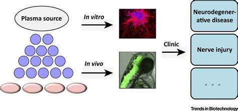 Cold Atmospheric Plasmas A Novel And Promising Way To Treat