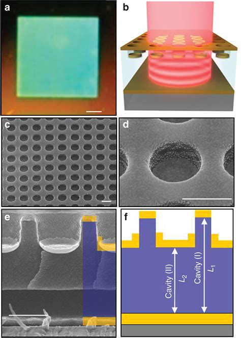 Cavity Coupled Quasi D Plasmonic Crystal Large Area Optical Image