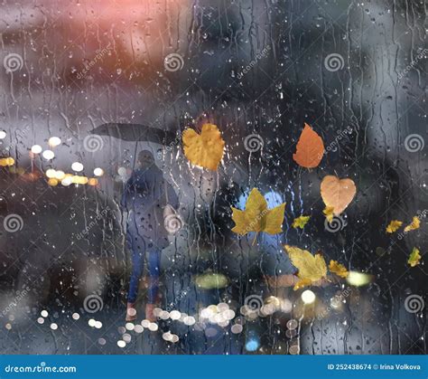 Autumn Leaves On Window Rain Drops And Autumn Leaves Fall Night City