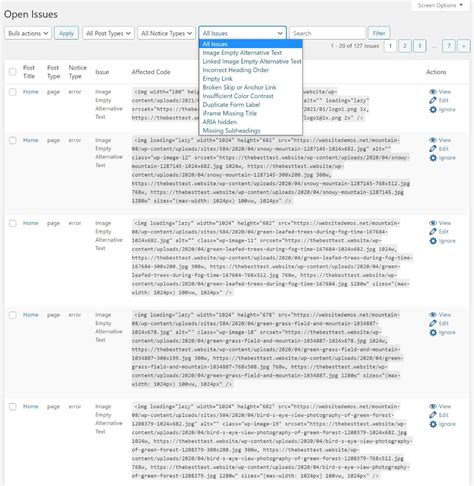 Accessibility Checker Review Wordpress Wcag Testing Plugin