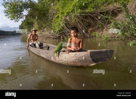 Amerindian villager and young boy with parrot paddle a dugout canoe ...