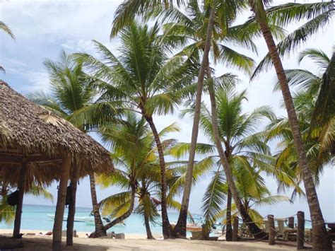 Isla Saona Un Lugar De Película Que Visitar