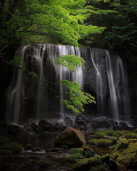Visit Japan Want To Enjoy A Walk In The Woods And Relax At A Hot Spring All In One Day A G