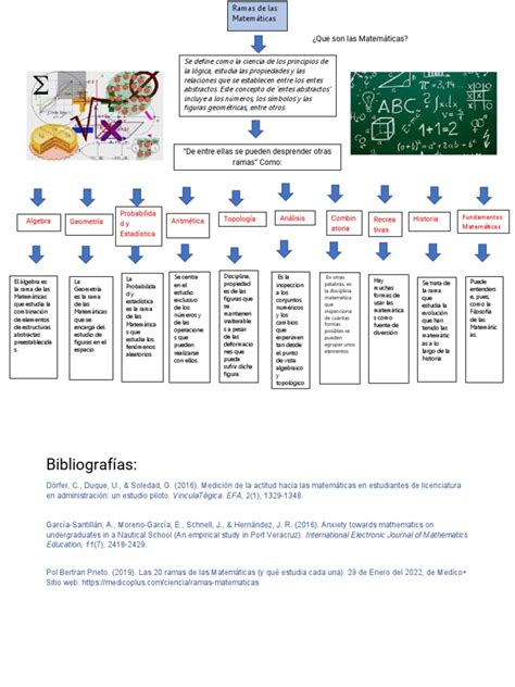 Mapa Mental O Conceptual De Una Clasificación De Las Ramas De Las