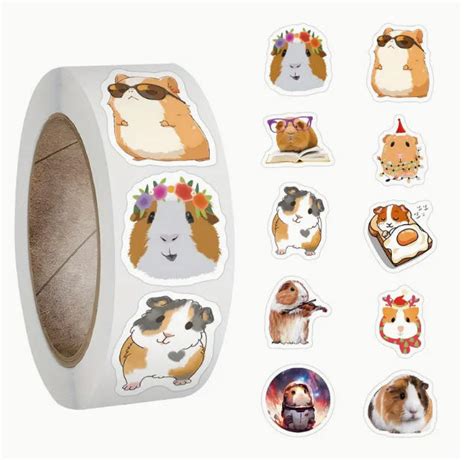 Fun Guinea Pig Items