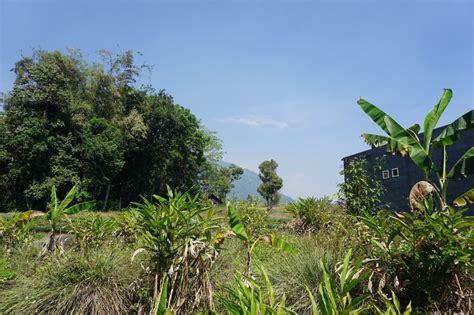 Tanah Trawas Dengan Pemandangan Gunung Penanggungan Dekat Hotel