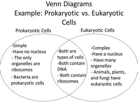 Prokaryotic And Eukaryotic Cells Venn Diagram