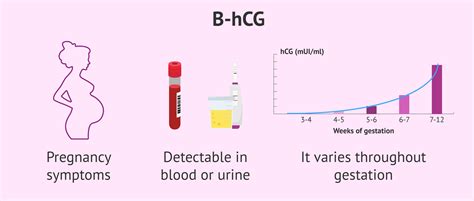 Beta HCG Characteristics