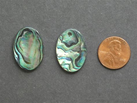 Pack X Mm Natural Abalone Paua Shell Cabochons Iridescent Oval