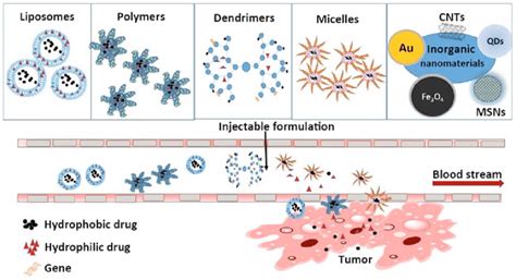 Nanomaterials Used As Drug Carriers For Cancer Therapy With Their