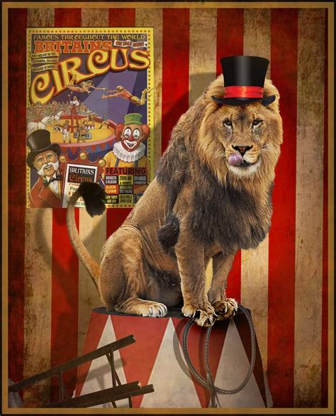 The Stardust Factory Lion Tamer T3ms Circus Challenge