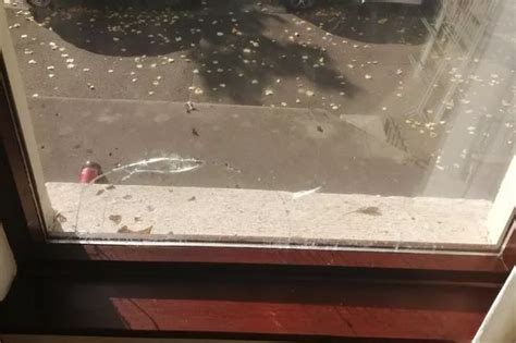 South Belfast: Holylands student area's 'rowdiest streets' revealed ...
