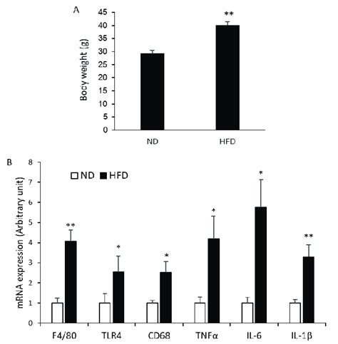 The Effect Of HFD On Body Weight And Inflammatory Markers In Type 1