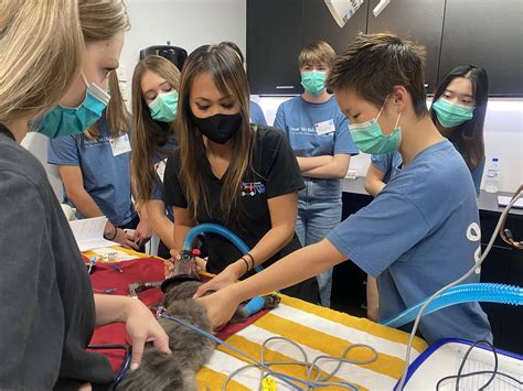 Future Vet Kids Camp Sydney January 2024 Australian Dog Lover