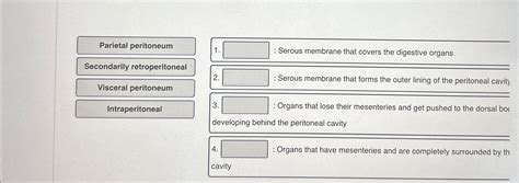 Solved Parietal peritoneumSecondarily | Chegg.com