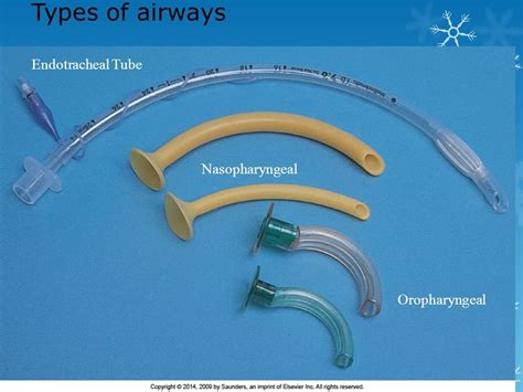 Oropharyngeal Nasopharyngeal And Endotracheal Tubes