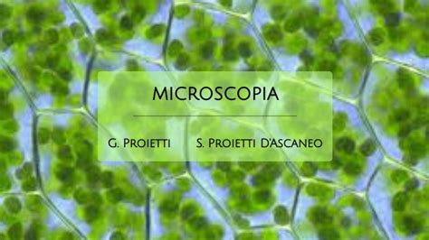Osservazioni Al Microscopio