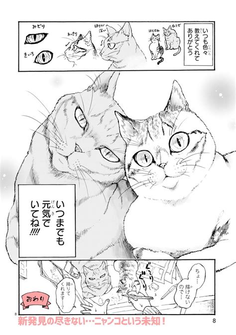 「猫の日ということでッッッ 以前ポラリスさまで描かせて頂いた我が家のニャンコ達のッッッ 漫画をッッッ 紹介す」八丸真幸の漫画