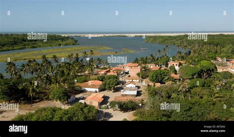 Mandacaru Len Ois Maranhenses Maranh O Brazil Stock Photo Alamy