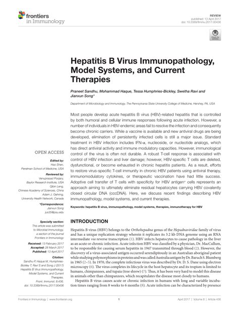 Pdf A Section Of The Journal Frontiers In Immunology Hepatitis B