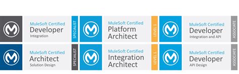 Mulesoft Integration Services